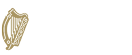 Ireland Fellows Programme Logo